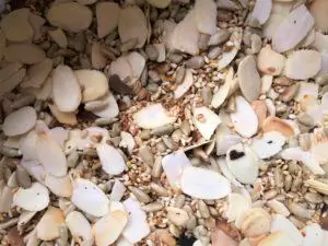 Nutty-spicy-dukkah