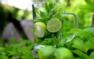 mint-lime-infused-water