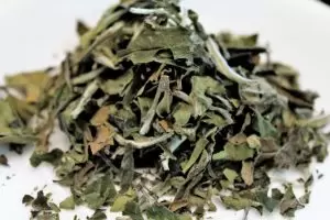 Green-tea