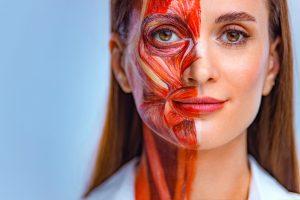 7-different-wrinkle-types