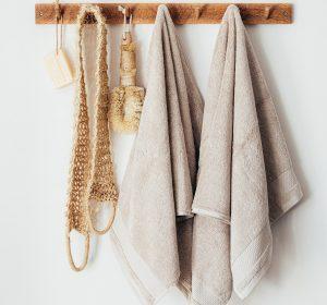 dry-body-brushing
