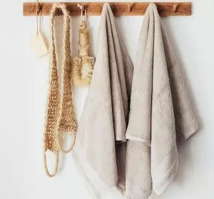 dry-body-brushing