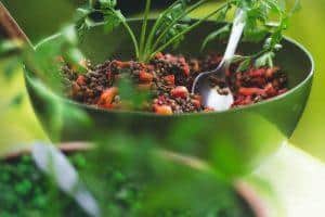 lentils-iron-protein