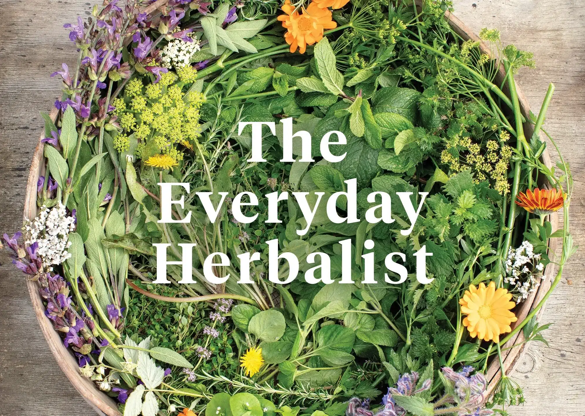 WIN The Everyday Herbalist: Feel Better, Naturally